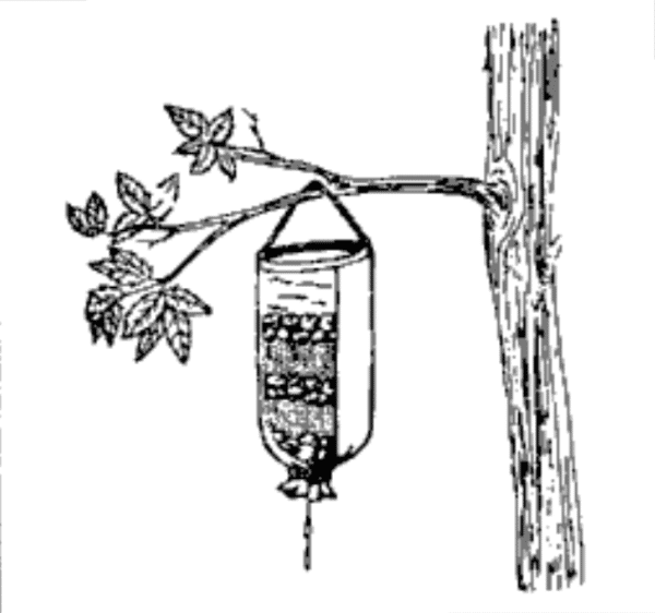 diy survival water filter illustration