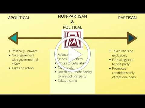 Zonta - Political? Partisan? Find Out Here!