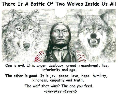 battle of two wolves