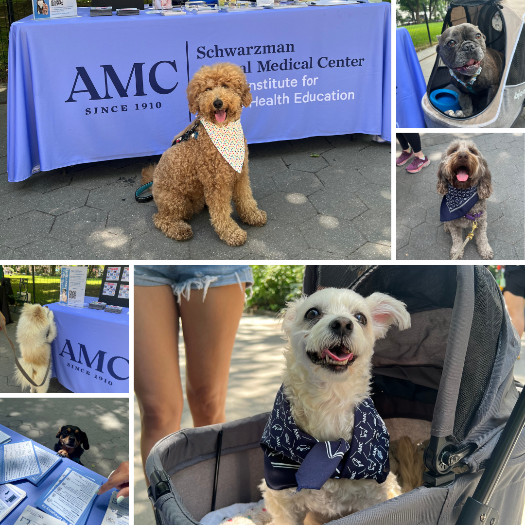 Collage of dogs visiting the Usdan Institute table at Pet Parents Day at Madison Square Park.