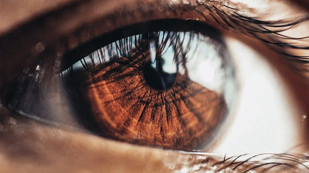 A close-up of a brown eye. The top half has light reflecting off of it.