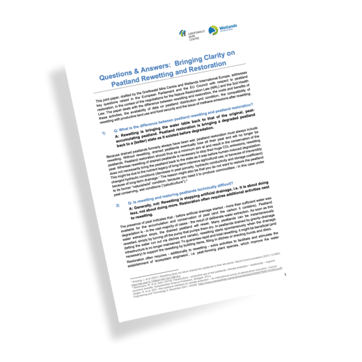 Publications mock up